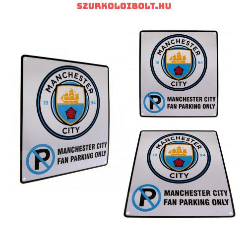 Manchester City FC Mini Sign