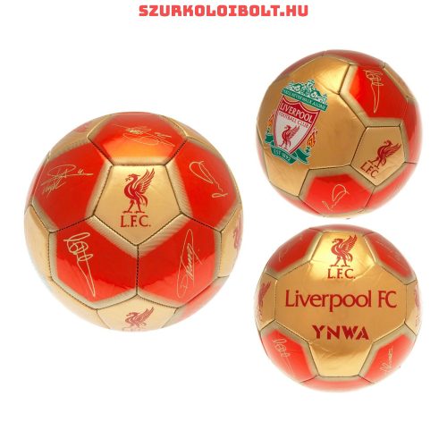 Liverpool FC "Signature" football - normal (size 5) Liverpool football with the team members s