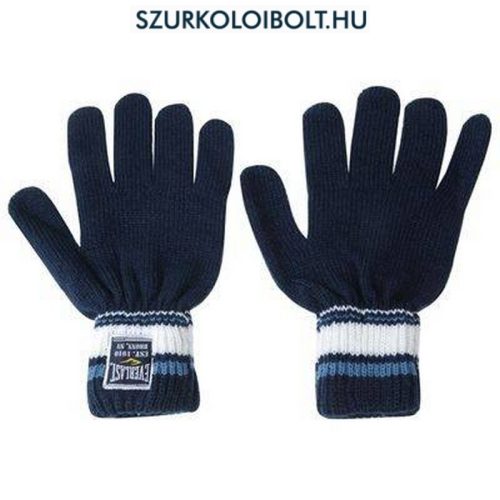 Everlast knitted gloves (blue)