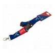 Crystal Palace lanyard - limited edition
