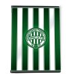 Ferencváros excercise book striped