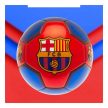 FC Barcelona Member signature football