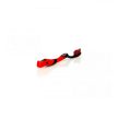 AC Milan F.C. Toothbrush