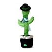 Ferencváros Cactus in team colors