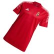 Adidas Hungary Home supporter Shirt (Red)