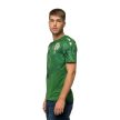 Macron Ferencváros  fan jersey