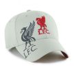  Liverpool FC Obsidian Grey Cap, Red Liverbird Crest, Official Licensed Product