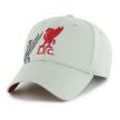  Liverpool FC Obsidian Grey Cap, Red Liverbird Crest, Official Licensed Product
