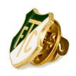 Ferencváros Football TEAM BADGE 
