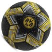 Borussia Dortmund Football