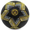 Borussia Dortmund Football