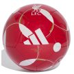 F.C. Liverpool Football Adidas