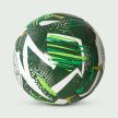 F.C. Ferencváros Football