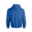 Team France pullover/hoody