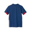 Adidas France shirt