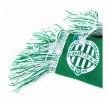 Ferencváros two sided car scarf