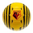 Watford Football