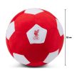 Liverpool FC Plush Football