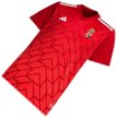  Adidas Hungary Kids' Polo Shirt – Red, Supporters' Jersey