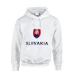 Team Slovakia pullover/hoody
