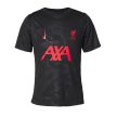 Nike Liverpool Academy Pro Third Pre Match Shirt