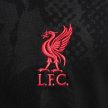 Nike Liverpool Academy Pro Third Pre Match Shirt