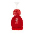 Liverpool two sided car hat