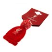 Liverpool two sided car hat