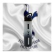 Tottenham Hotspur FC XL aluminium bottle - official licensed product 
