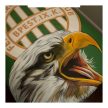 Ferencváros duvet set