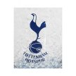 Tottenham Hotspur FC Plastic Freezer Tankard