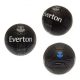 Everton Football