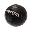 Everton Football
