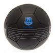 Everton Football
