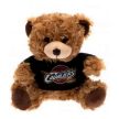 Cleveland Cavaliers Plush Bear, NBA Gift