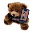 Cleveland Cavaliers Plush Bear, NBA Gift