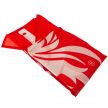 Liverpool. flag - official licensed product 
