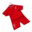 Liverpool  two sided car shirt