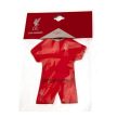 Liverpool  two sided car shirt