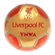 Liverpool FC Signature Football – Official Size 5 Supporter Ball