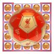 Liverpool FC Signature Football – Official Size 5 Supporter Ball