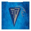 Zalaegerszeg ZTE car freshner, official, licensed product