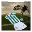 Ferencváros football set for babies - original, licensed product 