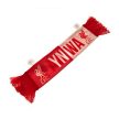 Liverpool FC two sided car scarf